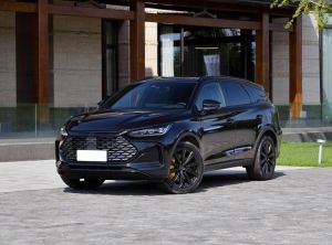 BYD Tang New Energy 2024 Подключаемый гибрид