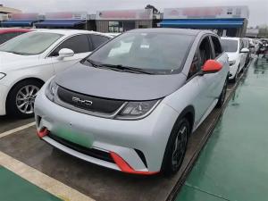BYD Dolphin 2022 Электрический
