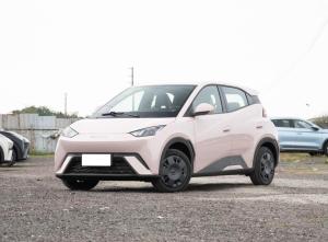 BYD Seagull 2024 Электрический