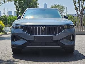 Voyah FREE 2022 Расширенный диапазон