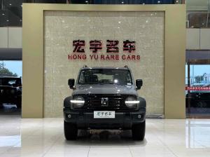 Tank 300 2023 Внедорожник