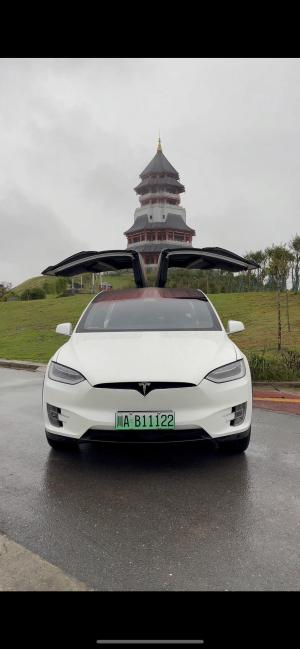 Tesla Model X 2018 Внедорожник