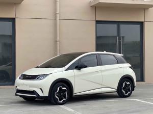 BYD Dolphin 2022 Электрический