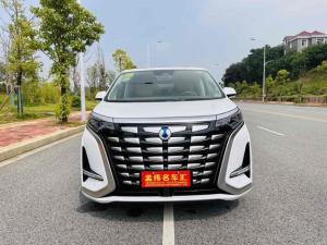 Denza D9 2023 Подключаемый гибрид