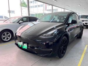 Tesla Model Y 2021 Электрический