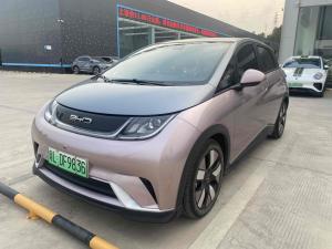 BYD Dolphin 2022 Электрический