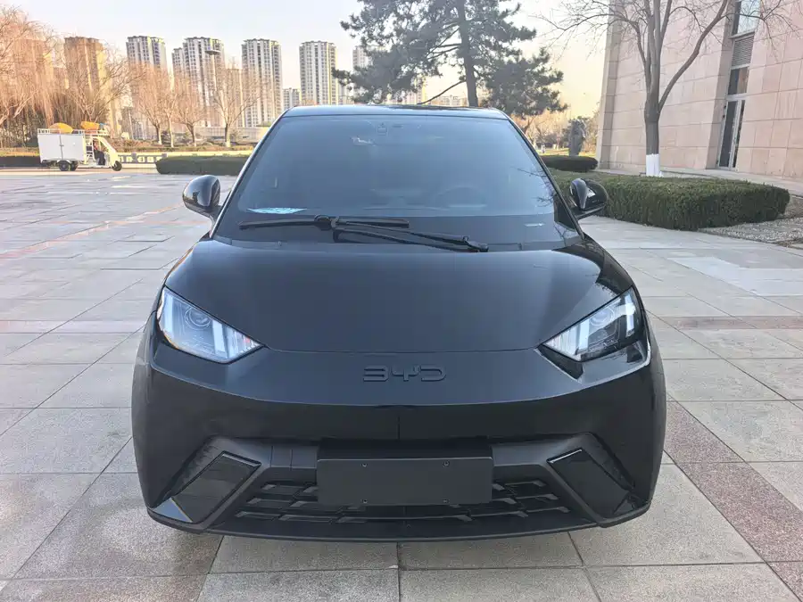 BYD Seagull 2024 Электрический