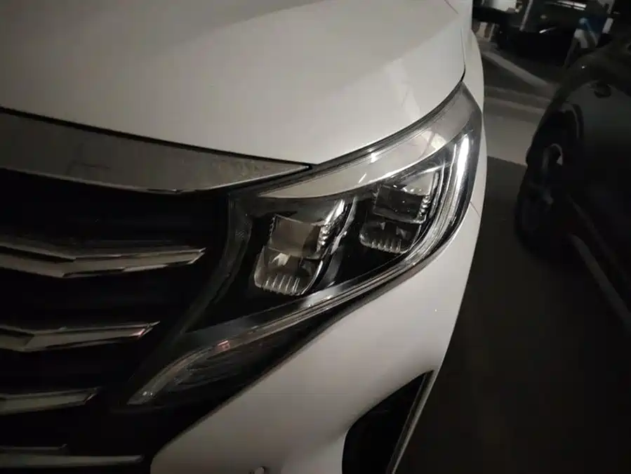 GAC Trumpchi Trumpchi M8 2021 Бензин