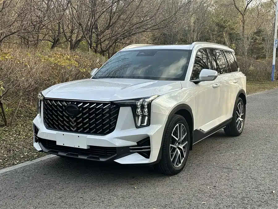 GAC Trumpchi Trumpchi GS8 2022 Бензин